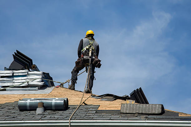 Professional Roof Installation technician working in Dothan, WV